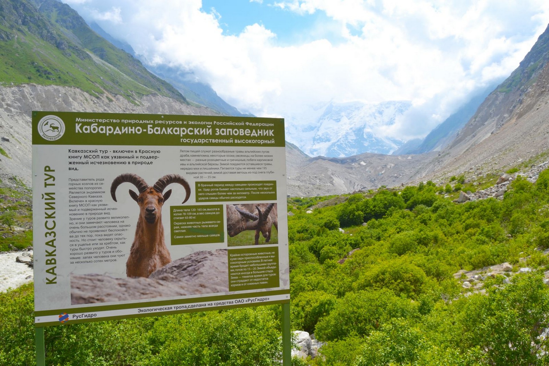 Кабардино-Балкарский высокогорный заповедник животный мир